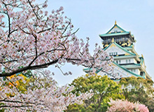 国安多年联赛客场未赢泰山，国安主帅：目前是打破魔咒的好机会
